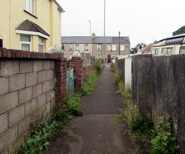 Weed-lined path in Malpas, Newport