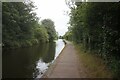 Birmingham & Fazeley Canal towards Minworth Locks