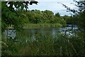 Small pool next to the Shropshire Union Canal