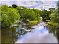 SE1487 : River Ure from Ulshaw Bridge by David Dixon