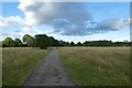 Path on Hob Moor