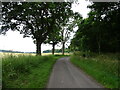 Minor road beside woodland, Scotscraig