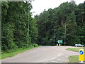 A92, Links Wood