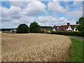 Bellington Farm at Barnettbrook