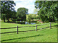 Pond, Ditton Place