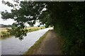 Birmingham & Fazeley Canal towards Wiggins Hill Bridge