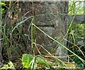 Gatepost, opposite entrance to Healey Mill