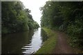 Birmingham & Fazeley Canal towards Baylis