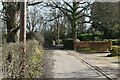 Footpath, Lingfield Common