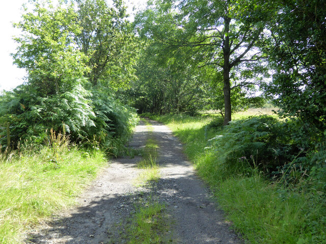 Farm track towards Rowhill Lane