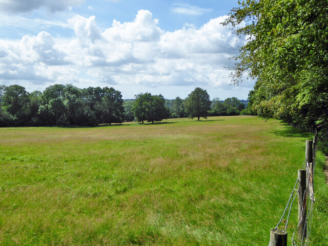 Field south of Whitehouse Wood