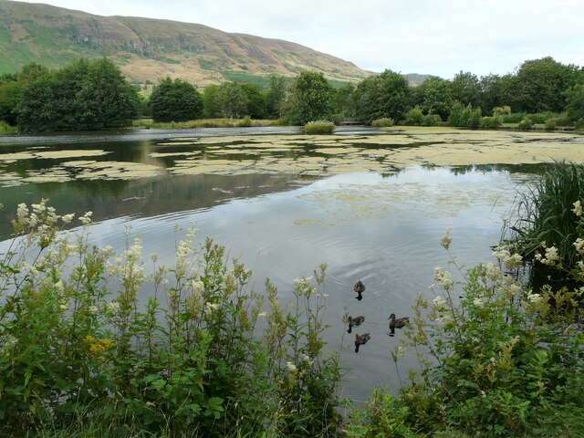 Whitefield Pond, Lennoxtown