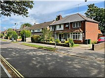 SU6353 : Houses along Darlington Road by Mr Ignavy