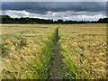 SU5850 : Path across Pack Lane Field (15 acres) by Mr Ignavy