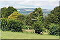 View above the trees on Harnham Slope