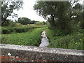 Dyon Drain at Dyon Bridge