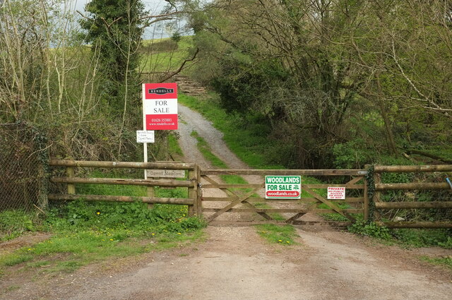 Track from Mill Lane