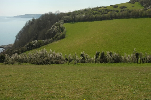 Fields above Blackaller's Cove