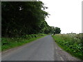 Minor road beside Burghill Wood