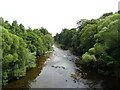 River South Esk, Brechin