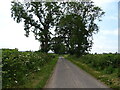 Road to Balbirnie Mill