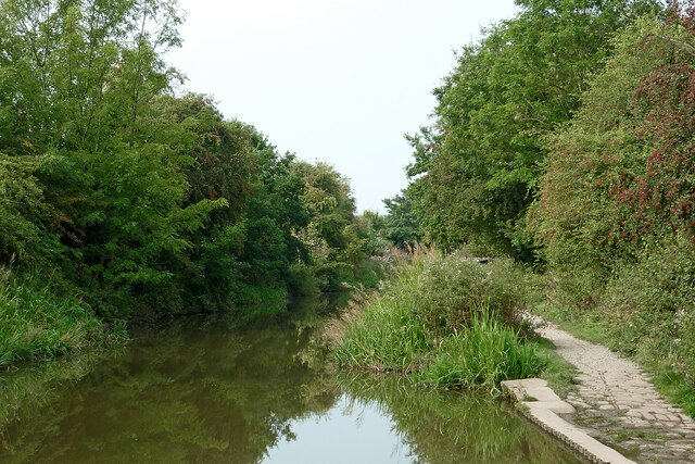 Macclesfield Canal near Congleton, Cheshire