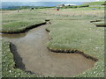 SD3575 : Channels and pools in the saltmarsh by Christine Johnstone