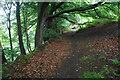 Path to Ravensnest Tor