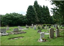 SP4600 : St Helen, Dry Sandford: churchyard (IV) by Basher Eyre