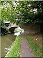 Bridge 98 (Grand Union Canal) Water Eaton