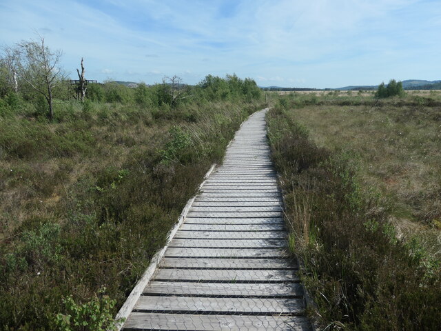 Boardwalk heading south, Foulshaw Moss... © Christine Johnstone cc-by ...