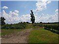 Bridleway from New House Farm, Himbleton