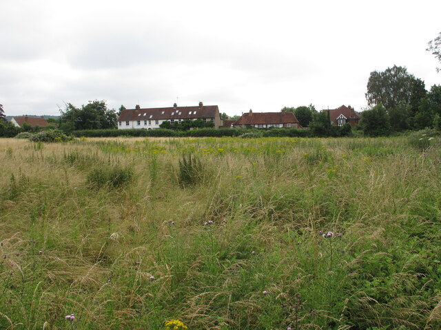 Houses on Coldmoorhome Lane seen across field