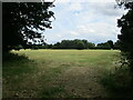 Grass field near Lawshall