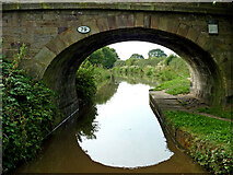 SJ8561 : Peel Lane Bridge near Astbury in Cheshire by Roger  D Kidd