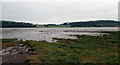 NX6749 : The Dee estuary seen from St. Mary's Isle, Kirkcudbright by habiloid