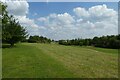 Cut grass on Heslington East