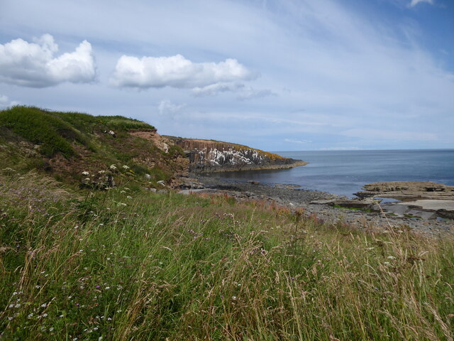 View to Cullernose Point near Craster