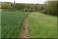 Field edge footpath