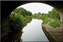 SJ8561 : Macclesfield Canal near Astbury in Cheshire by Roger  D Kidd