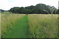 Footpath towards Mount Pleasant