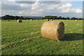 SP1734 : Hay rolls by the footpath to Draycott by Philip Jeffrey