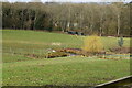 Pond, Burleigh Arches Farm