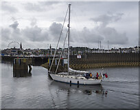 J5082 : Yacht 'Cupid' at Bangor by Rossographer