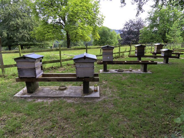 Beehives at Hughenden Manor