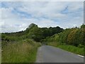 Road to Higher Hartswell Farm and woodland beyond