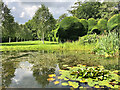 TQ9457 : Pond at Doddington Place Gardens by Paul Harrop