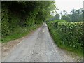 SO3273 : Wanderings around the Welsh/English border [39] by Michael Dibb