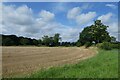 Stubble field beside Naburn Lane