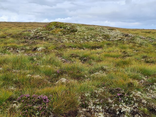 Mossy Mound on Moorland South of Cnoc Riabhach